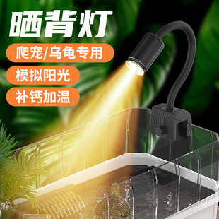柏卡乐乌龟晒背灯uvb加热灯乌龟灯uva爬宠灯陶瓷全光谱太阳灯宠物