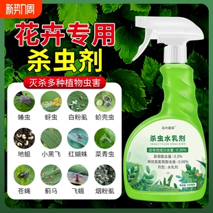 杀虫药花卉植物杀虫剂花草蚜虫月季 花病虫害红蜘蛛室内花喷雾除虫