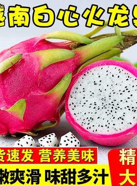 越南火龙果白心新鲜现摘水果应当季红蜜宝心金都整箱礼盒一号大果