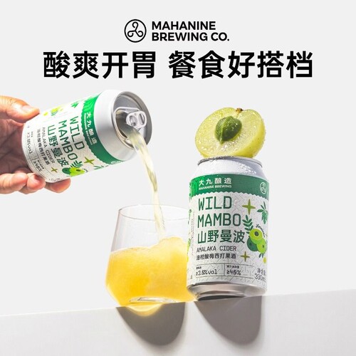 大九酿造山野曼波油柑酸啤酒