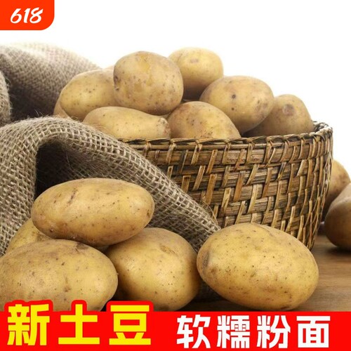 新鲜现挖黄皮黄心土豆马铃薯