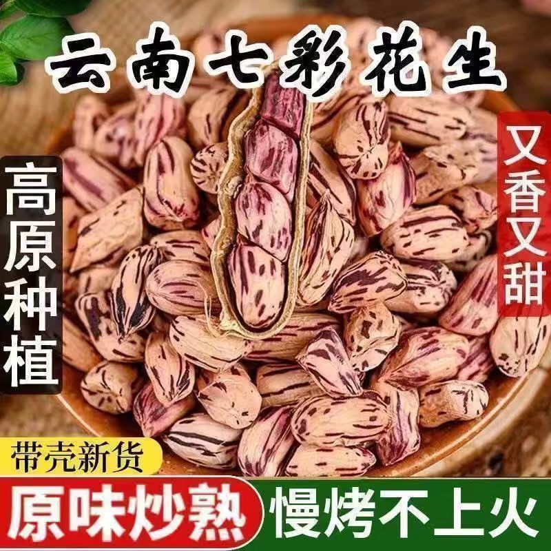 新货七彩花生带壳牛奶花生种子图片
