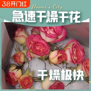 鲜花干燥剂大包永生花制作DIY标本长久玫瑰可微波循环使用