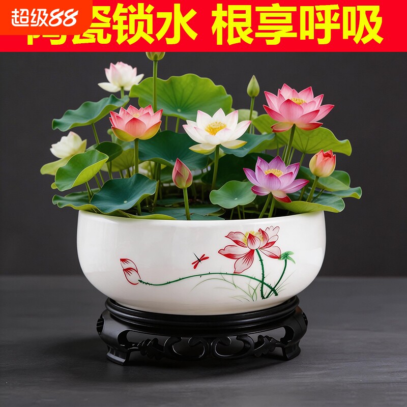 水仙花陶瓷无孔水培花盆特价大号铜钱草睡莲专用水培盆莲花带托盘