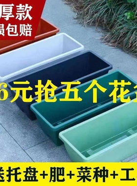 长方形盆花盆阳台种菜专用盆霍伦草莓蔬菜种植箱塑料特价清仓室外