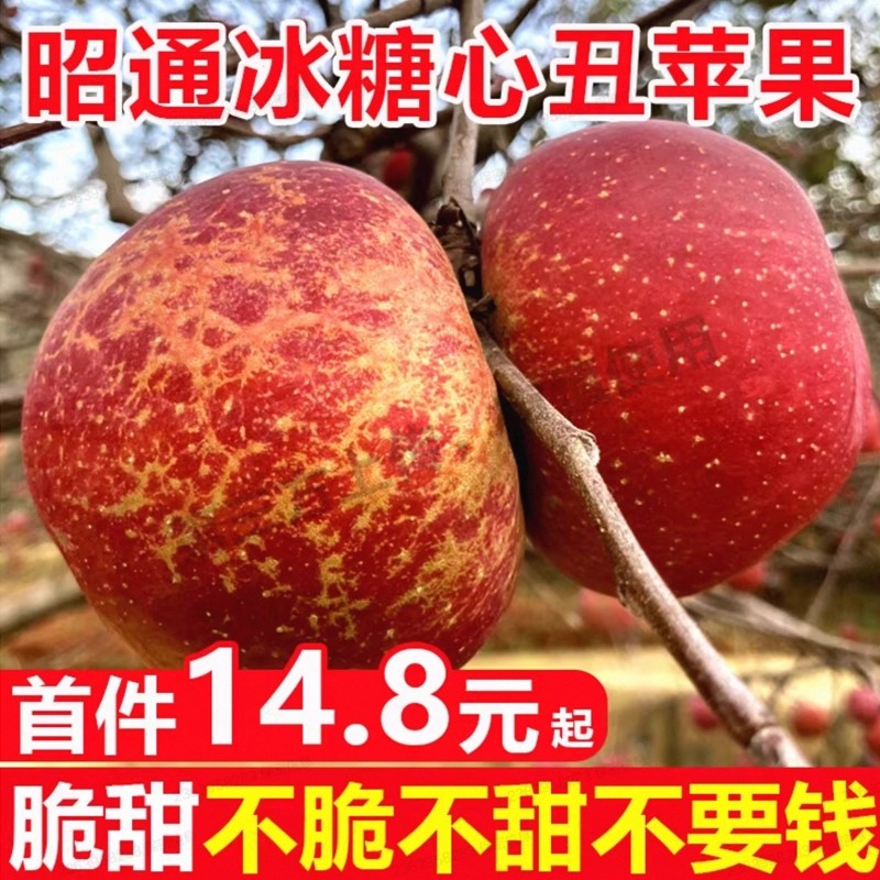 顺丰包邮云南昭通冰糖心丑苹果新鲜当季现摘红富士水果整箱10斤,水产肉类/新鲜蔬果/熟食,苹果,淘宝优惠券,粉丝福利购,淘宝优惠卷