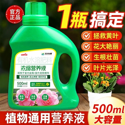 植物营养液通用型花卉浓缩室内绿植盆栽富贵竹家庭园艺肥料花肥