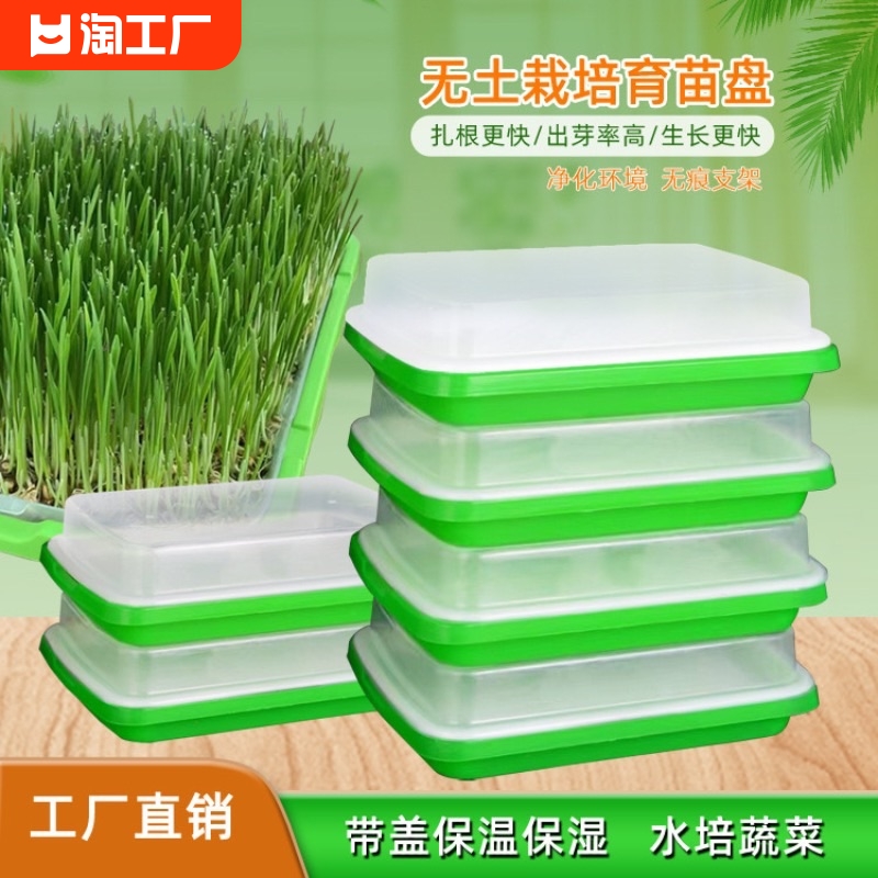 豌豆苗种植盘豆芽菜育苗盘托盘塑料水培无土栽培蔬菜食品级培育 鲜花速递/花卉仿真/绿植园艺 育苗盘/营养钵 原图主图