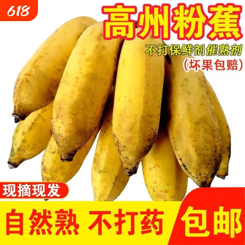 广东高州苹果粉蕉糯米蕉皮薄肉厚应季现砍现发中大果包邮