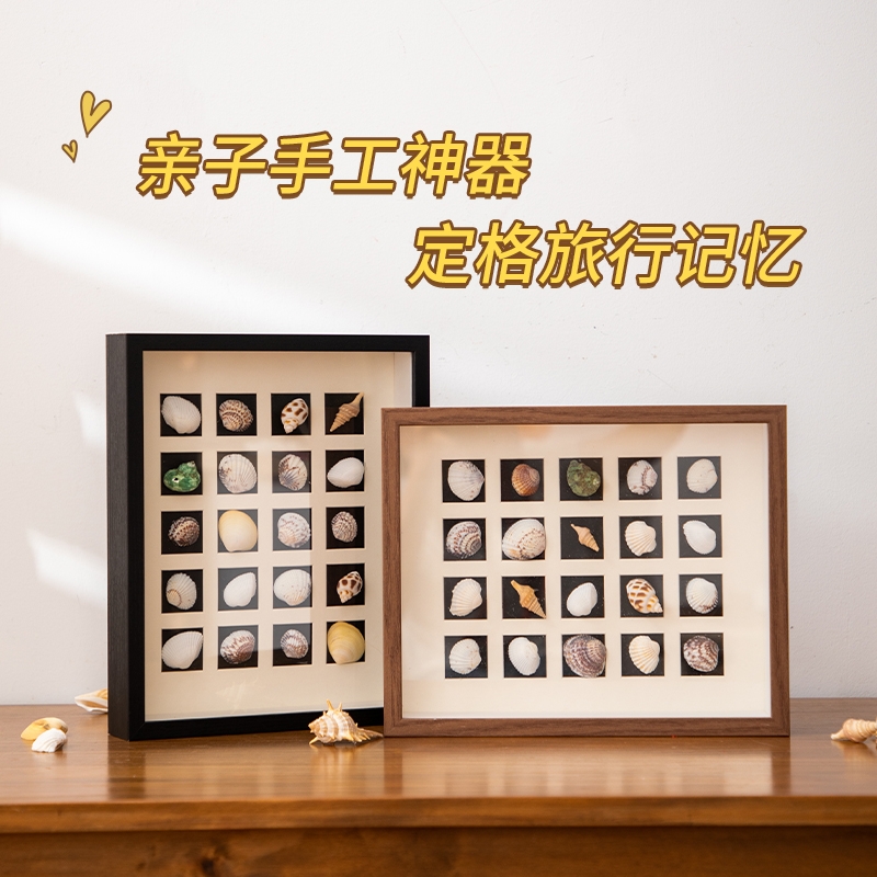 立体中空贝壳相框摆台diy手工制作昆虫植物标本宫格展示木质空框