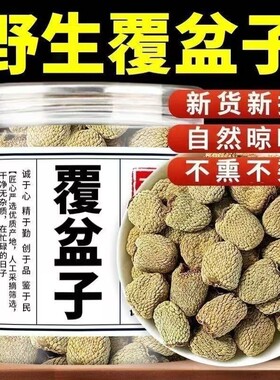 野生覆盆子中药材正品覆盆子泡茶干果复盆子覆盘子果干新货
