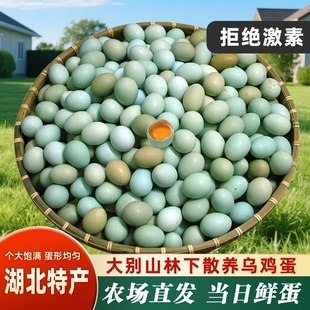 绿壳土鸡蛋农家散养湖北大别山30枚鲜蛋宝宝初生蛋乌鸡蛋源头农场