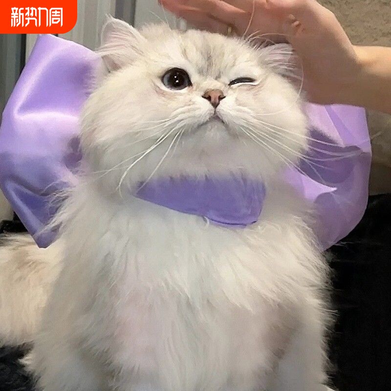 蝴蝶结宠物领结围脖猫咪项链装饰比熊狗狗项圈布偶猫德文热卖一件