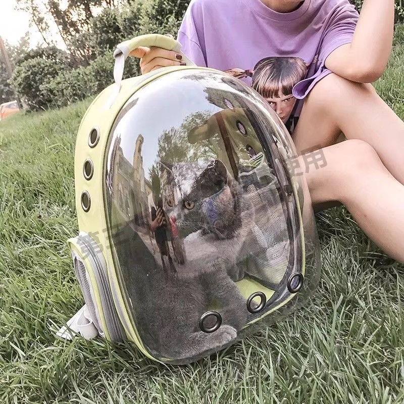 猫包外出宠物可露头手提包便携外出包小狗狗出门神器帆布包出行,宠物/宠物食品及用品,背包/箱包,淘宝优惠券,粉丝福利购,淘宝优惠卷