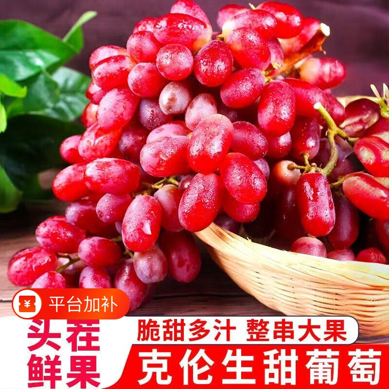 现摘头茬克伦生无籽葡萄脆甜多汁红宝石当季新鲜水果产地直发包邮
