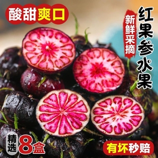 云南红果参当季 网红水果8盒高山蜘蛛算盘果脆甜多汁整箱