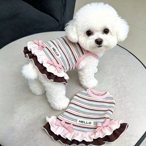 狗狗衣服春秋彩虹条纹连