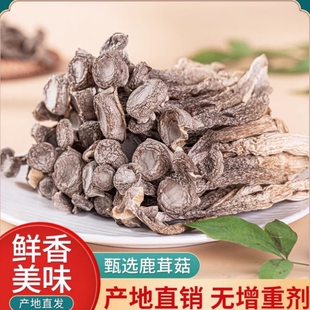 鹿茸菇干货2斤鹿茸菌新鲜煲汤古田菇干香菇包邮年货美味袋装新货