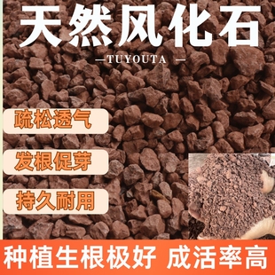 纯天然酸性风化土小叶簕竹金弹子老鸦柿盆栽专用疏松园艺种植育苗