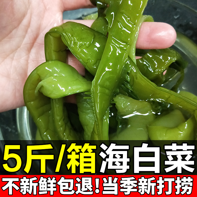 5斤海白菜新鲜盐渍裙带菜梗段商用半干货优质海藻海带餐饮批发