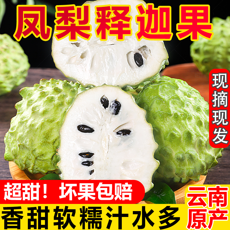 裕丰农业凤梨释迦果树上的冰淇淋