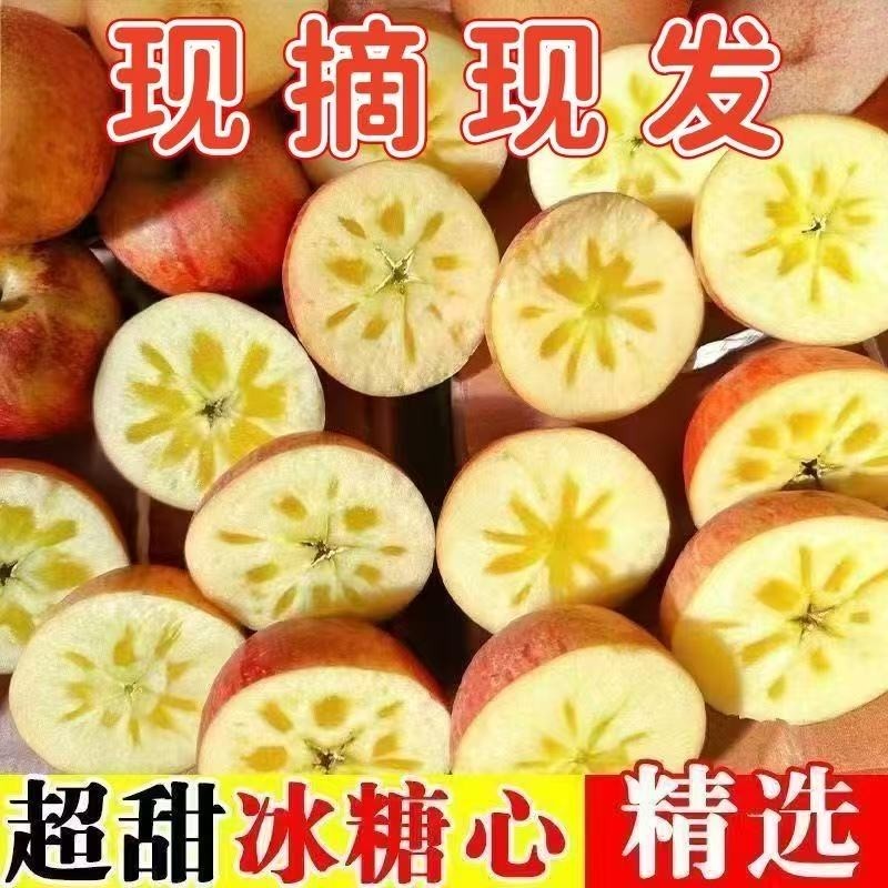 【现摘现发】冰糖心丑苹果红富士脆甜新鲜水果当季一整箱批发
