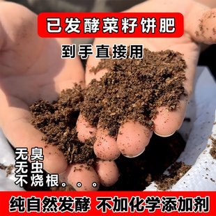 发酵菜籽饼肥料饼肥底肥油饼蔬菜有机肥料养花花卉植物绿植盆栽