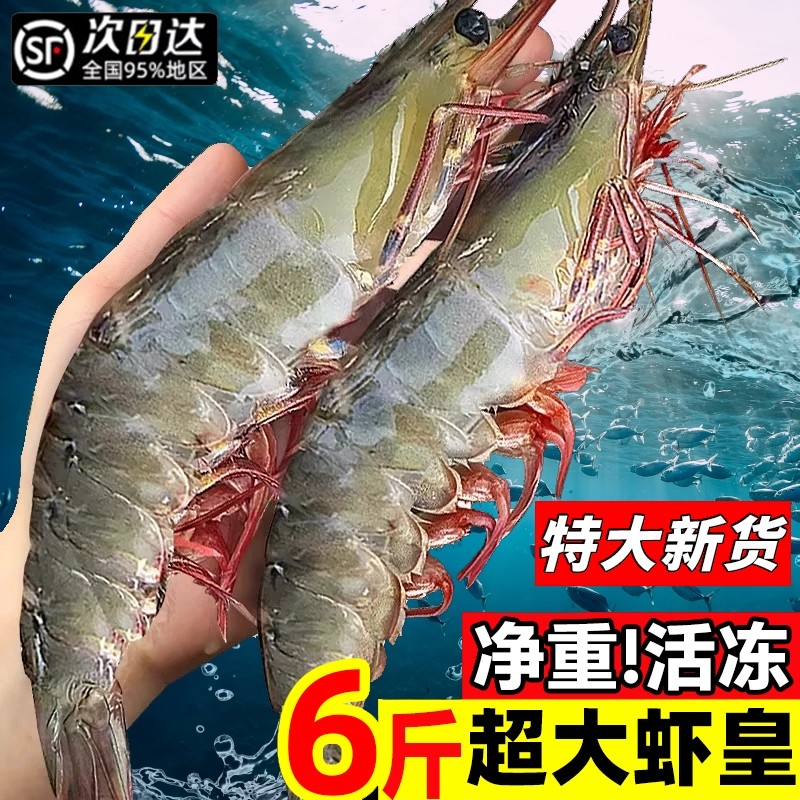 大虾鲜活冷冻速冻超大厄瓜多尔白虾盐冻基围虾南美对虾类海鲜水产 - 天天特卖工厂出品