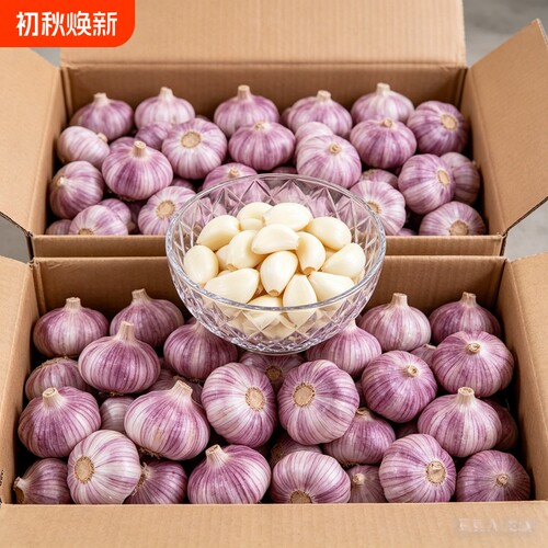 【产地直发】农家干大蒜紫白皮特大蒜王新鲜蒜头便宜批发精选干蒜