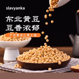 东北黄豆5斤大豆农家新货自种豆芽打豆浆专用五谷杂粮旗舰店
