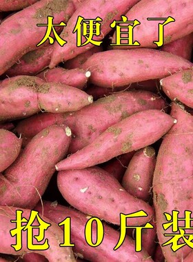新鲜蜜薯10斤板栗红薯沙地糖心地瓜农家自种黄心番薯烟薯香薯山芋