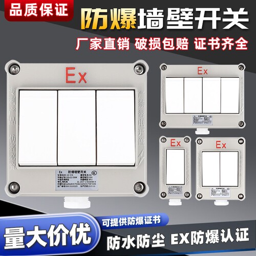 防爆墙壁开关SW-10A单双控86方型照明220/380V防水防尘1开2开暗装