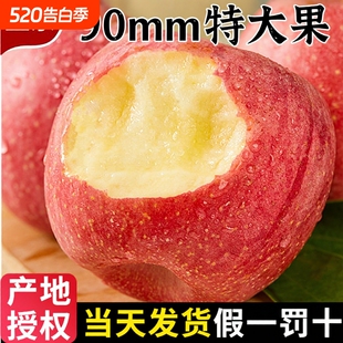 山东烟台红富士正宗栖霞苹果新鲜水果