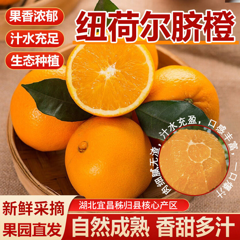 纽荷尔橙子正宗湖北秭归脐橙当季新鲜时令孕妇水果甜橙产地直发,水产肉类/新鲜蔬果/熟食,橙,淘宝优惠券,粉丝福利购,淘宝优惠卷