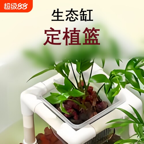 龟缸水培定植篮支架固定托架