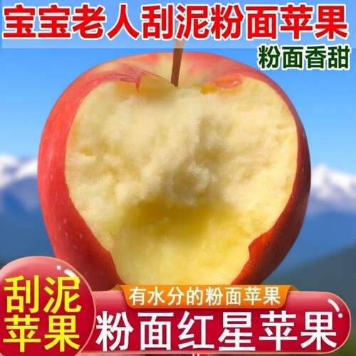 沙坡头红星红香蕉粉面沙甜苹果宝宝刮泥婴儿老人吃当季水果年货节