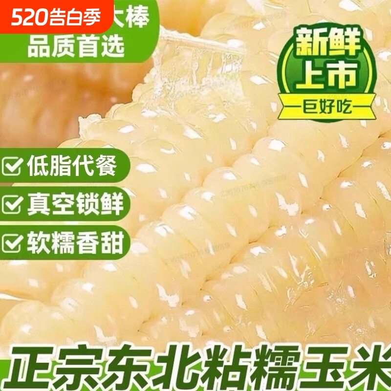 东北玉米新鲜糯玉米棒真空装包加热即食白苞糯玉米代餐粗粮软糯