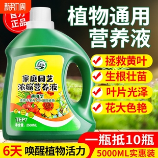 植物营养液花卉养花绿植通用型花肥发财树富贵竹绿萝水培盆栽肥料