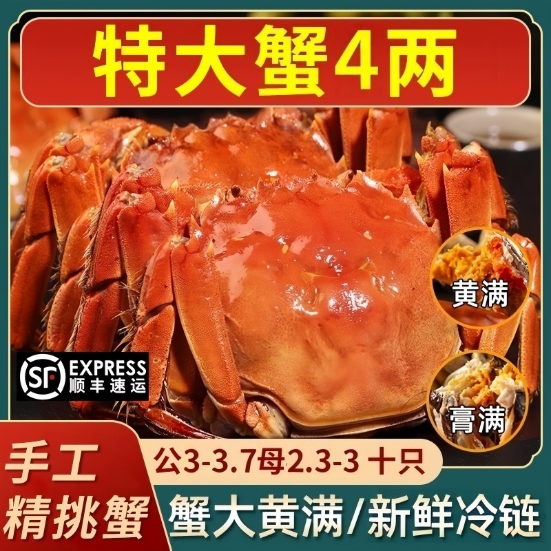 正宗活蟹特大苏州大闸蟹新鲜苏州鲜活满黄螃蟹鲜活大闸蟹顺丰冷链