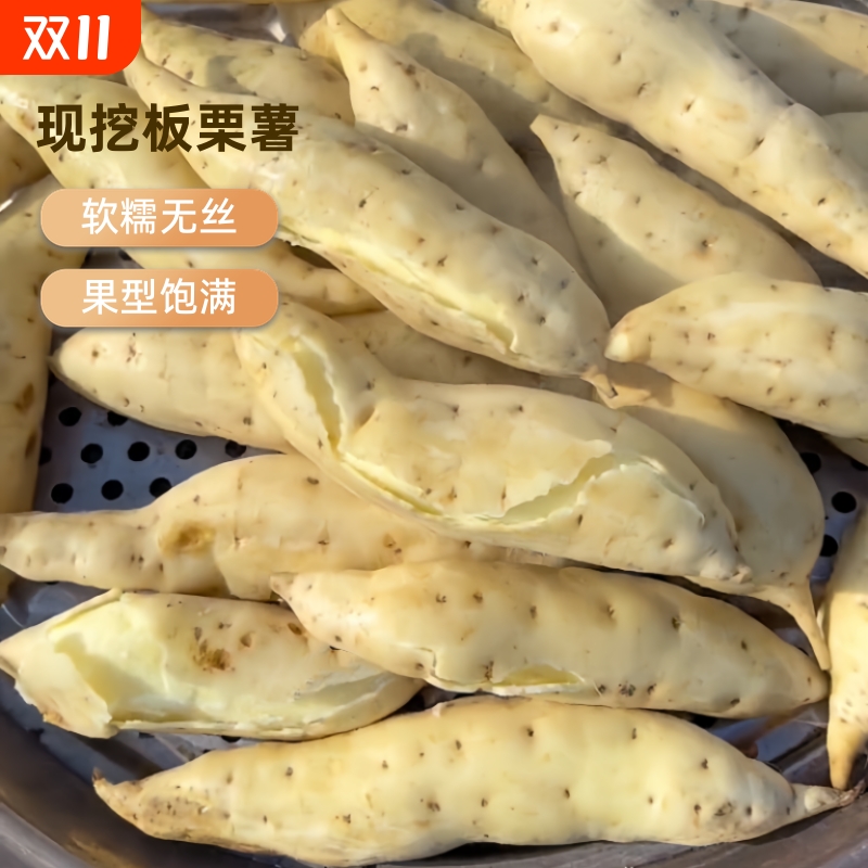 爆皮王农家沙地种植白皮黄肉板栗薯新鲜现挖产地直发香甜粉糯番薯