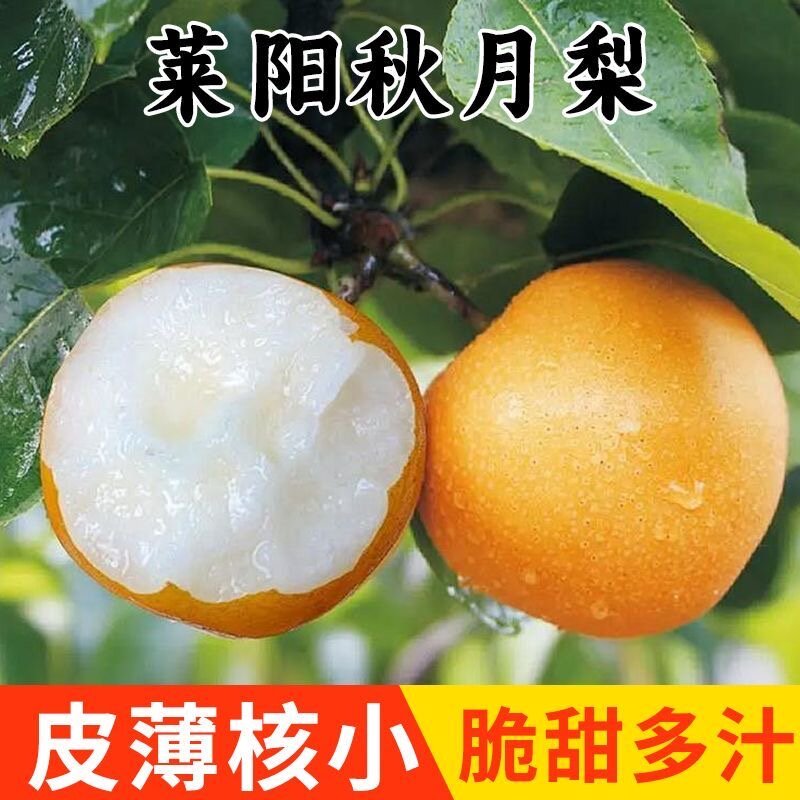 正宗山东莱阳秋月梨冰糖雪梨冰糖酥脆大果薄皮多汁脆甜整箱批发