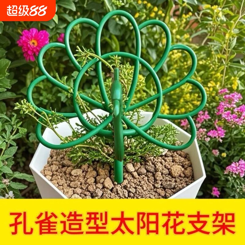 太阳花架支架花卉专用支撑架图片