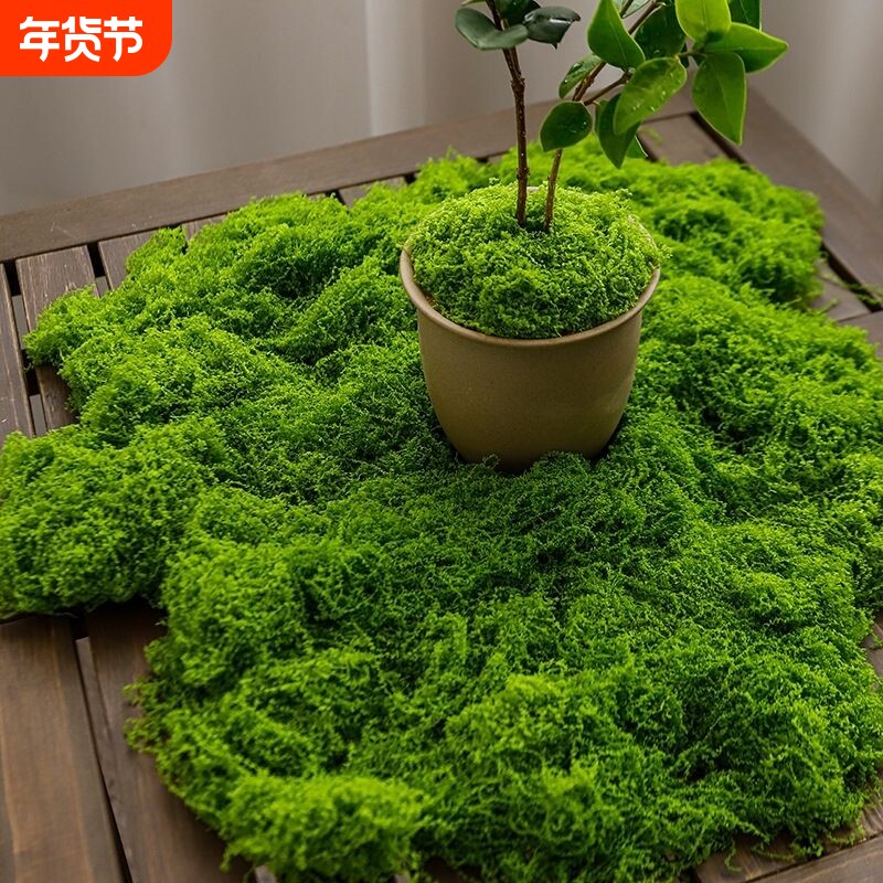 仿真绿植造景苔藓布景景观装饰人造草皮室内玄关草坪室外毛线造型