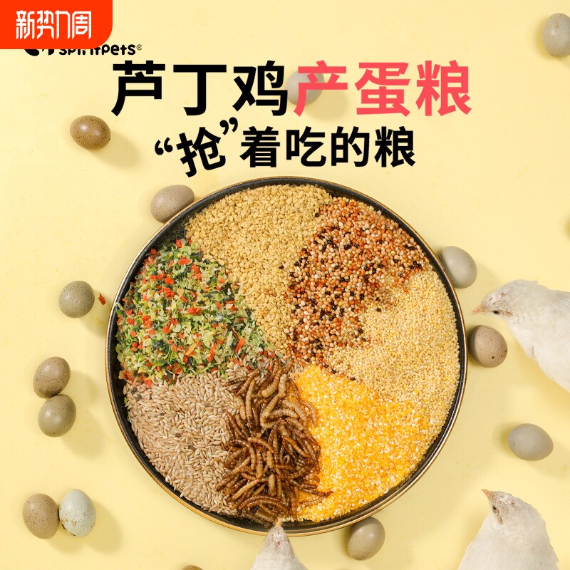 芦丁鸡专用产蛋饲料下蛋粮卢丁鸡小鸡幼鸡开口育雏食物粮食零食