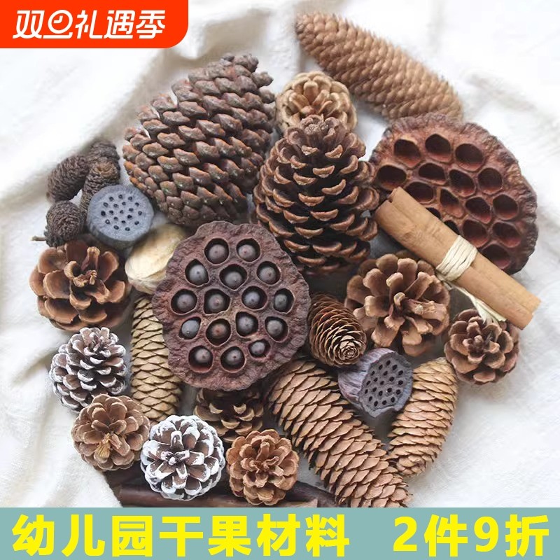 松果木片树叶干花干果组合肉桂diy手工橡果艺术品莲蓬棉花红果