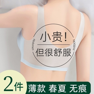 无痕内衣女夏季 小胸聚拢无钢圈胸罩超薄透气美背冰丝凉感文胸 薄款