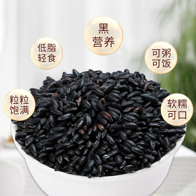 盖亚农场东北黑米500g新货糙米饭低脂粗粮非紫米孕妇糙米五谷杂粮