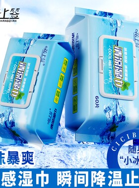 清凉湿巾擦脸湿纸巾冰爽提神降温清凉薄荷不含酒精60片装