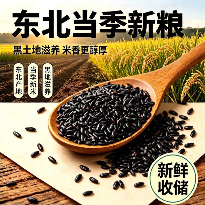 哈冠丰黑香米东北五谷杂粮黑米大米饭新米5斤软糯当季袋装好吃
