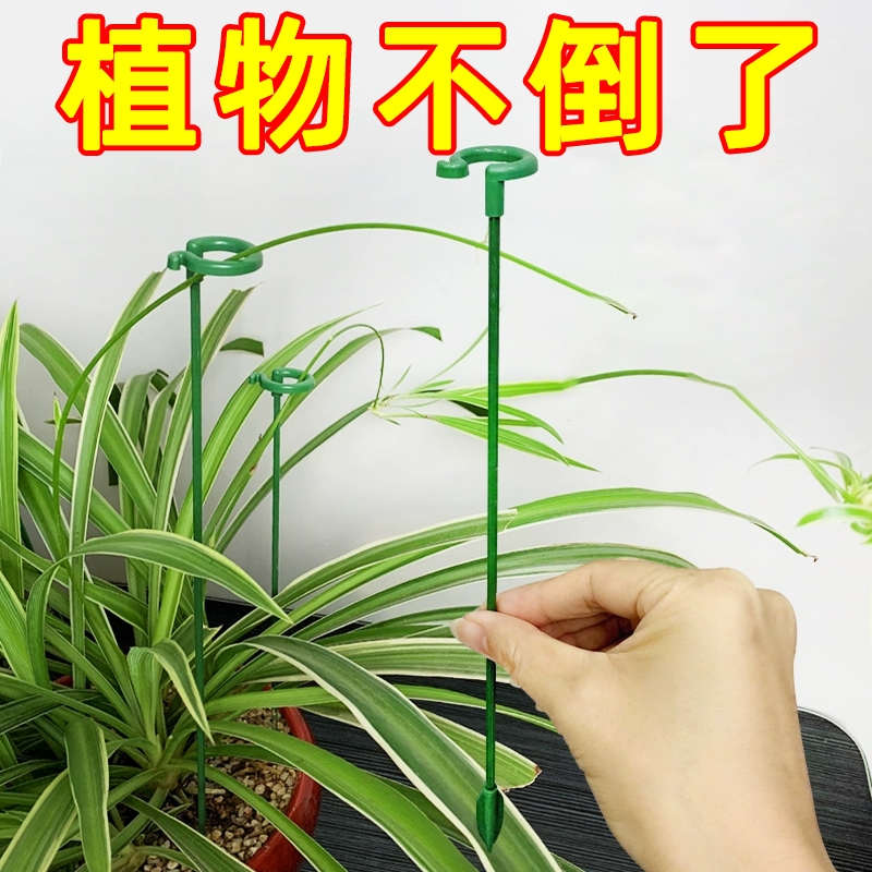 花架支撑杆蝴蝶兰吊兰支架多肉花支架防倒月季花卉植物花朵支撑架